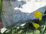 image of grave number 380263